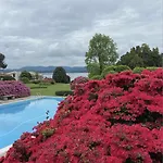 Oasi Lesia - La Casa Sul Con Privata E Piscina Vista Tatil Evi *